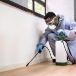 pest control in Manchester